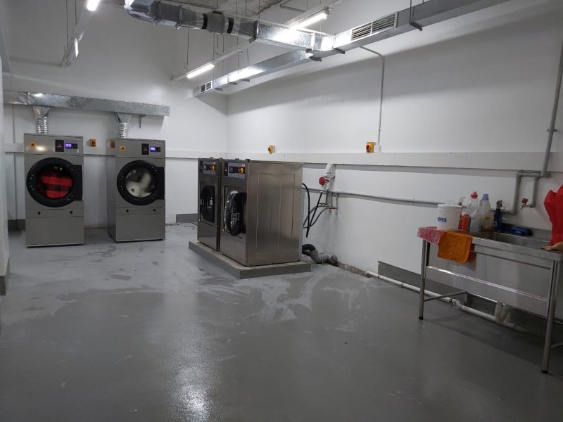 Purple Haze Laundry